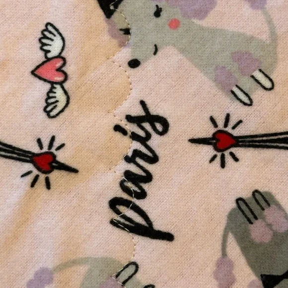 NEW! Softy Cloth Paris Pattern - Picture 4 of 5